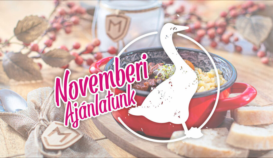 Novemberi ajánlatunk